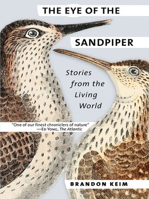 cover image of The Eye of the Sandpiper
